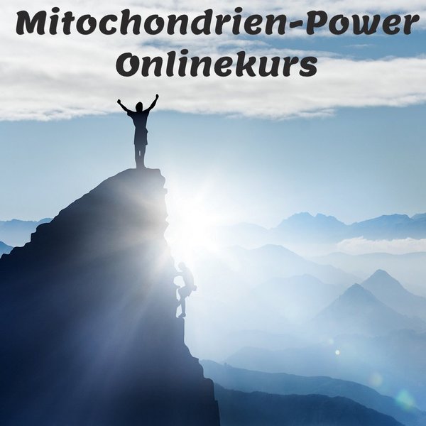 Online-Kurs "Mitochondrien Power"